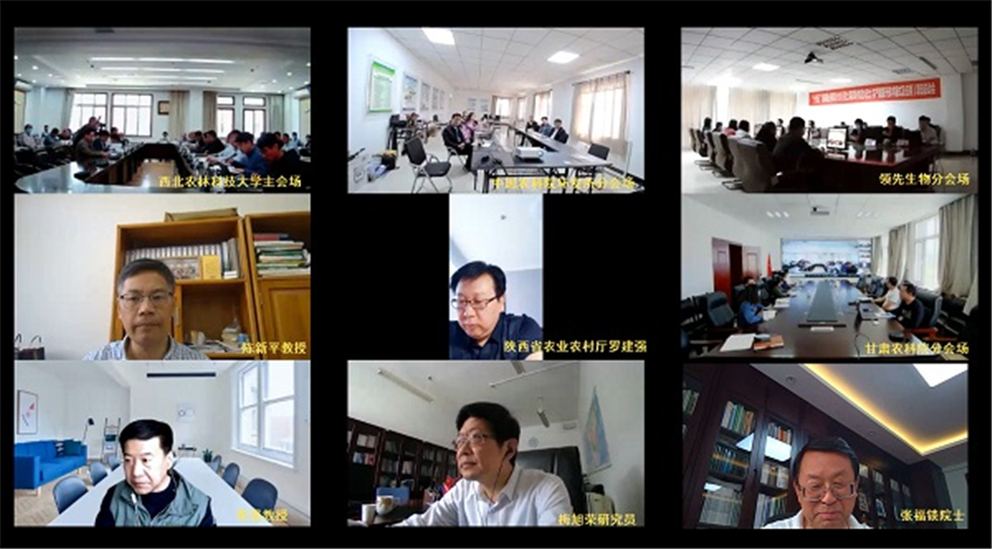 好博体育足球生物|国家重点研发计划“黄土高原旱作适水改土与产能提升技术模式及应用”项目启动 好博体育足球生物|国家重点研发计划“黄土高原旱作适水改土与产能提升技术模式及应用”项目启动