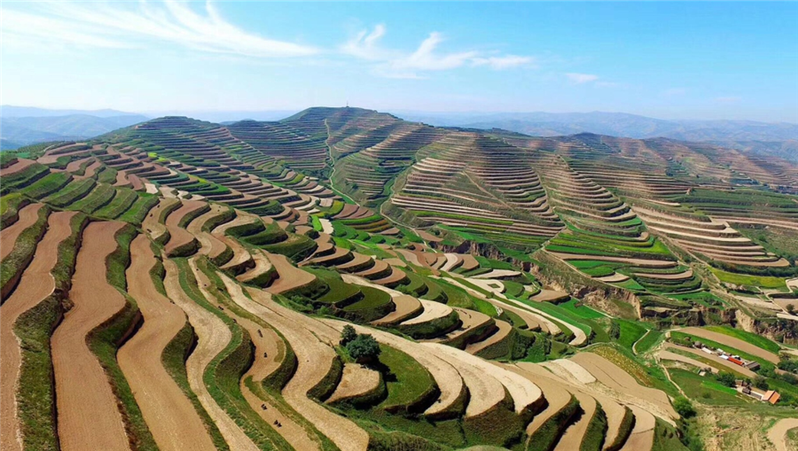 好博体育足球生物|国家重点研发计划“黄土高原旱作适水改土与产能提升技术模式及应用”项目启动 好博体育足球生物|国家重点研发计划“黄土高原旱作适水改土与产能提升技术模式及应用”项目启动